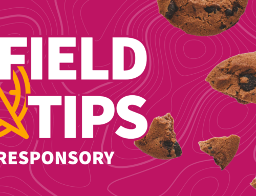 Field Tips: Navigating Google’s Shift from Third-Party Cookies