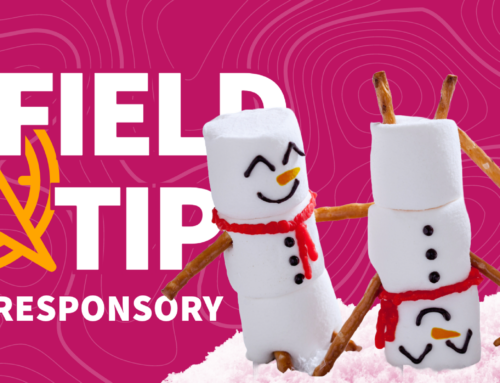 Field Tips: Your Year-End Marketing Tips (Plus Our Gratitude)