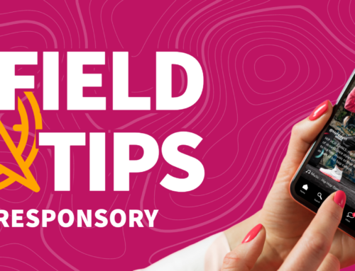 Field Tips: Short-Form Video Thrives Beyond TikTok