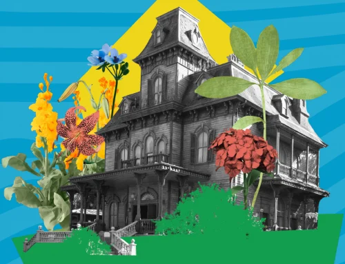 Owned Media is the Future of Your Brand